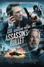 Watch Assassin's Bullet 0123movies