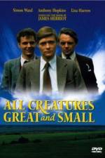 Watch All Creatures Great and Small 0123movies