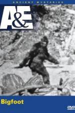 Watch A&E Ancient Mysteries - Bigfoot 0123movies