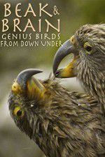 Watch Beak & Brain - Genius Birds from Down Under 0123movies