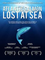 Watch Atlantic Salmon: Lost at Sea 0123movies