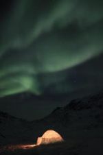 Watch The Last Igloo 0123movies