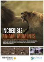 Watch Incredible Animal Moments 0123movies