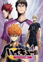 Watch Haiky�!! Concept no Tatakai 0123movies