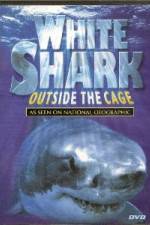 Watch National Geographic white shark:outside the cage 0123movies