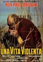 Watch Violent Life 0123movies