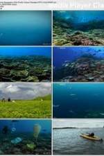 Watch National Geographic: Pacific Ocean Paradise 0123movies