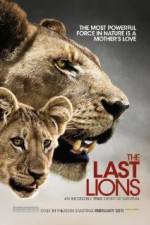 Watch The Last Lions 0123movies