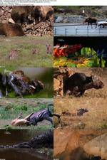 Watch National Geographic - World's Deadliest Lady Killers 0123movies