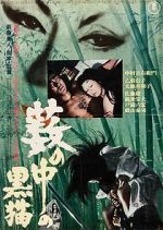 Watch Black Cat 0123movies