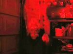Watch Video Nasty 0123movies