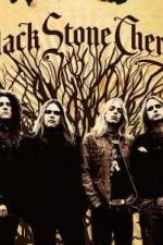 Watch Black Stone Cherry Live in Meridian, MS 0123movies