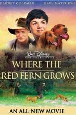 Watch Where the Red Fern Grows 0123movies