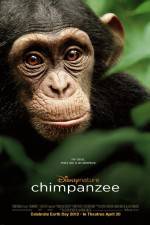 Watch Chimpanzee 0123movies