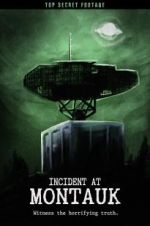Watch Incident at Montauk 0123movies