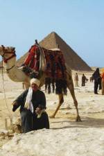Watch From Pharaohs to Facebook Egypt Today 0123movies