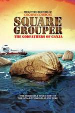 Watch Square Grouper 0123movies
