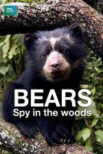 Watch Bears: Spy in the Woods 0123movies