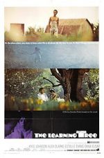 Watch The Learning Tree 0123movies