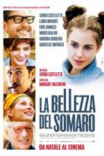 Watch La bellezza del somaro 0123movies