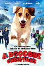 Watch A Doggone Christmas 0123movies
