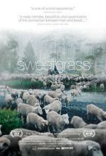 Watch Sweetgrass 0123movies