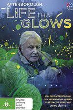 Watch Attenborough\'s Life That Glows 0123movies