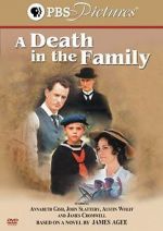 Watch A Death in the Family 0123movies