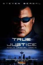 Watch True Justice: Brotherhood 0123movies