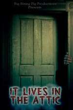 Watch It Lives in the Attic 0123movies