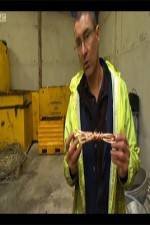 Watch The Hunt for Great Britains Metal Thieves 0123movies