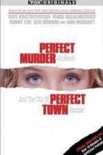 Watch Perfect Murder Perfect Town JonBenet and the City of Boulder 0123movies