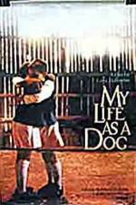 Watch My Life As A Dog 0123movies