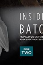 Watch Inside the Bat Cave 0123movies