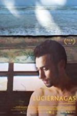 Watch Fireflies 0123movies