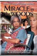 Watch Miracle in the Woods 0123movies