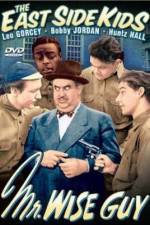 Watch Mr. Wise Guy 0123movies