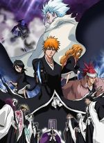 Watch Bleach the Movie 2: The Diamond Dust Rebellion 0123movies