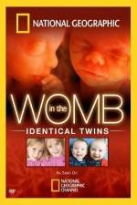 Watch National Geographic: In the Womb - Identical Twins 0123movies