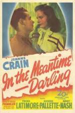 Watch In the Meantime Darling 0123movies