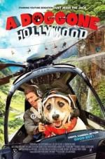 Watch A Doggone Hollywood 0123movies