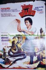 Watch Snake in the Eagle's Shadow II 0123movies