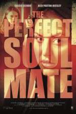 Watch The Perfect Soulmate 0123movies