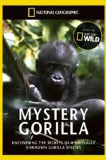 Watch National Geographic Mystery Gorilla 0123movies