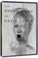 Watch The Short Films of David Lynch 0123movies