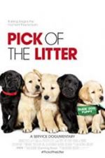 Watch Pick of the Litter 0123movies