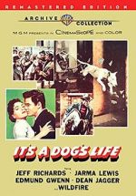 Watch It\'s a Dog\'s Life 0123movies