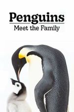 Watch Penguins: Meet the Family 0123movies