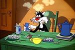 Watch The Last Hungry Cat 0123movies