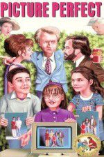 Watch Picture Perfect 0123movies